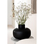 Natural White Gypsophila Dried Flowers | Dried Baby's Breath | Length ± 65 centimetres | Per 5 stems
