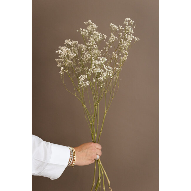 Natürliche weiße Gypsophila Trockenblumen | Getrocknetes Schleierkraut | Länge ± 65 Zentimeter | Pro 5 Zweige