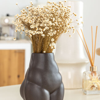 Casa Alegria Wit naturelle Glixia droogbloemen | Lengte ± 50 centimeter | Gewicht ± 50 gram