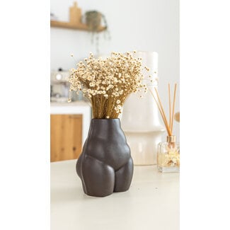 Casa Alegria White natural Glixia dried flowers | Length ± 50 centimetres | Weight ± 50 grams