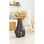 Wit naturelle Glixia droogbloemen | Lengte ± 50 centimeter | Gewicht ± 50 gram