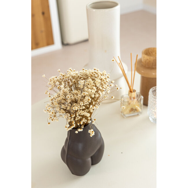 Wit naturelle Glixia droogbloemen | Lengte ± 50 centimeter | Gewicht ± 50 gram