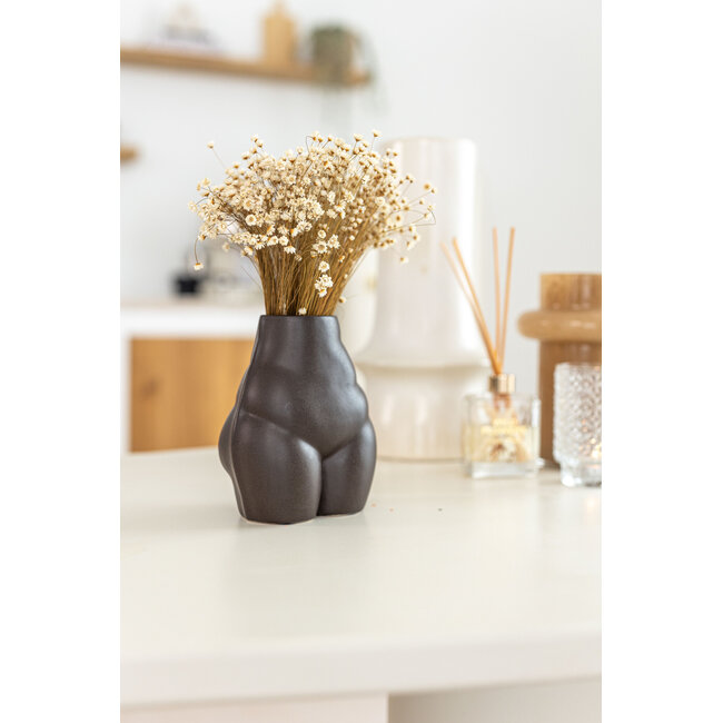 Wit naturelle Glixia droogbloemen | Lengte ± 50 centimeter | Gewicht ± 50 gram