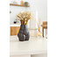 White natural Glixia dried flowers | Length ± 50 centimetres | Weight ± 50 grams