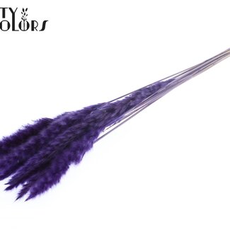QC Gedroogde Fluffy Pampas Pluimen | Kleur: Paars | Pampas Droogbloemen | Lengte ± 70 centimeter | 10 pluimen per bos