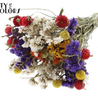 QC Bouquet de Fleurs Séchées Coloré 5 | Couleur : Couleurs Mixtes | Longueur ± 30 centimètres | Par 8 bouquets