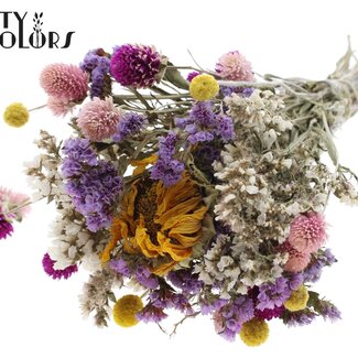 QC Boeket Droogbloemen Kleurrijk 4 | Kleur: Gemengde Kleuren | Lengte ± 30 centimeter | Per 8 boeketten