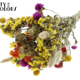 QC Bouquet of Dried Flowers Colourful 3 | Colour: Mixed Colours | Length ± 30 centimetres | Per 8 bouquets
