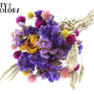 QC Bouquet of Dried Flowers Colourful 2 | Colour: Mixed Colours | Length ± 30 centimetres | Per 8 bouquets