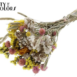 QC Boeket Droogbloemen Kleurrijk 1 | Kleur: Gemengde Kleuren | Lengte ± 30 centimeter | Per 8 boeketten
