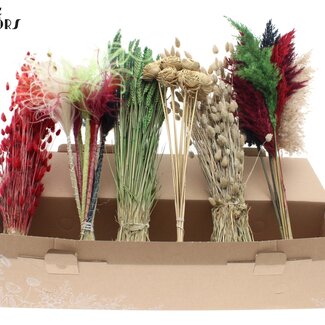QC Mixed Dried Flowers | XMAS Colours | Colour: Mixed Colours | Dried Flower Mix | Length ± 60 centimetres | Per 6 bunches