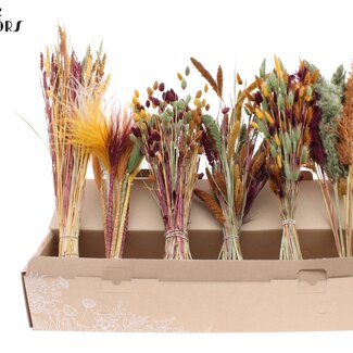QC Mixed Dried Flowers | Pumpkin Spice Colours | Colour: Mixed Colours | Dried Flower Mix | Length ± 60 centimetres | Per 6 bunches