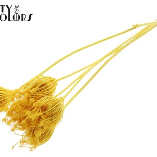 QC Dried Large Field Umbellifer Picks | Colour: Yellow | Ammi Majus Pick | Diameter ± 4 - 6 centimetres | Length ± 50 centimetres | 5 picks per bunch