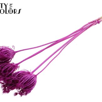 QC Gedroogde Groot Akkerscherm Bijstekers | Kleur: Lilakleurig | Ammi Majus Bijsteker | Diameter ± 4 - 6 centimeter | Lengte ± 50 centimeter | 5 bijstekers per bos