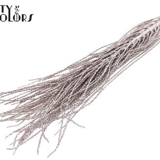 QC Podisiri Açaí séché | Couleur : Champagne | Podosiri Euterpe Oleracea Branches | Longueur 60 - 70 centimètres | Par 8 branches