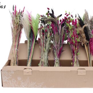 QC Gemischte Getrocknete Blumen | Farben Mix 8 | Farbe: Gemischte Farben | Trockenblumen Mix | Länge ± 60 Zentimeter | Pro 6 Bündel