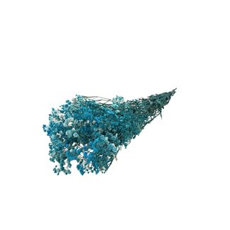 Dutch Dried Lichtblauwe Gypsophila droogbloemen | Gepreserveerd Gipskruid | Lengte ± 65 centimeter | Per 100 gram