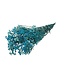 Gypsophile séchée bleu clair | Gypsophile préservée | Longueur ± 65 centimètres | Par 100 grammes