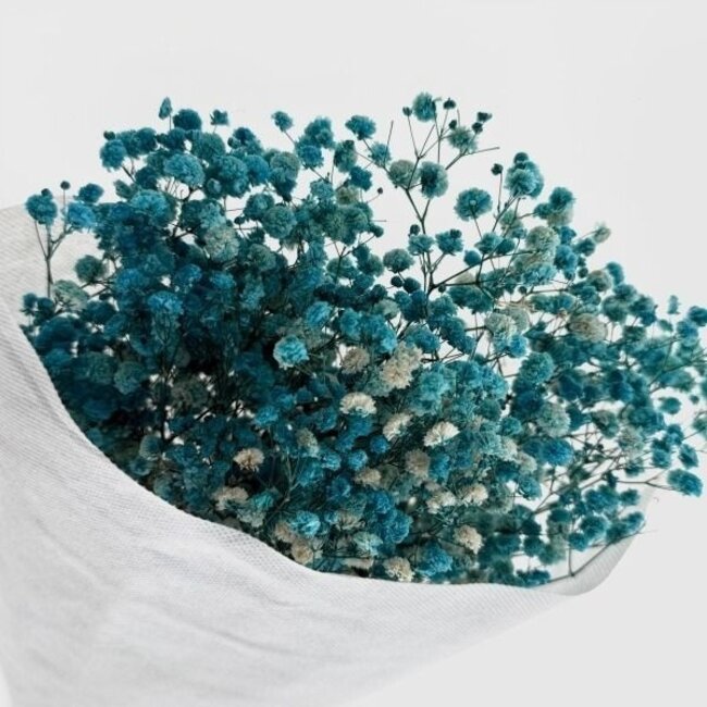 Lichtblauwe Gypsophila droogbloemen | Gepreserveerd Gipskruid | Lengte ± 65 centimeter | Per 100 gram