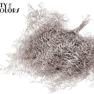 QC Preserved Coral Fern | Colour: Champagne with glitter | Gleichenia Dicarpa | 10 stems per bunch | Per 10 bunches