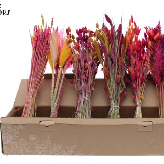 QC Fleurs Séchées Mixtes | Mélange de Couleurs 10 | Couleur : Couleurs Mixtes | Mélange de Fleurs Séchées | Longueur ± 60 centimètres | Par 6 bottes