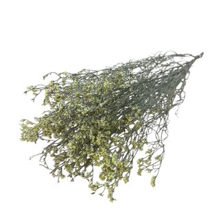 Dutch Dried Limonium Diamond jaune fleurs séchées | Longueur ± 70 centimètres | Poids ± 100 grammes