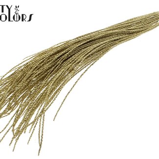 QC Gedroogde Podisiri Açaí | Kleur: Goudkleurig met glitter | Podosiri Euterpe Oleracea Takken | Lengte 60 - 70 centimeter | Per 8 takken