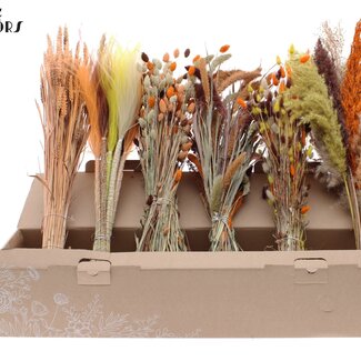QC Mixed Dried Flowers | Colour Mix 3 | Colour: Mixed Colours | Dried Flower Mix | Length ± 60 centimetres | Per 6 bunches