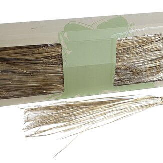 QC Gepreserveerd Berengras | Kleur: Goudkleurig | Xerophyllum | Lengte ± 60 centimeter | Per 20 bossen