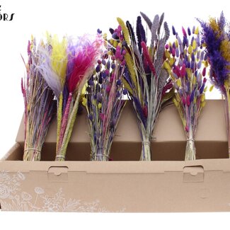 QC Mixed Dried Flowers | Colour Mix 11 | Colour: Mixed Colours | Dried Flowers Mix | Length ± 60 centimetres | Per 6 bunches