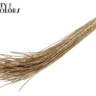 QC Dried Podisiri Açaí | Colour: Antique Gold with glitter | Podosiri Euterpe Oleracea Branches | Length 60 - 70 centimetres | Per 8 branches