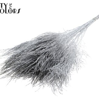 QC Fougère Arborescente Séchée | Couleur : Argenté | Polypodiophyta | Longueur ± 60 centimètres | Par 20 bouquets