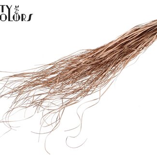 QC Dried Bear Grass | Colour: Copper | Xerophyllum | Length ± 60 centimetres | Per 20 bunches