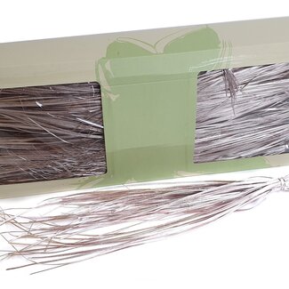 QC Gepreserveerd Berengras | Kleur: Champagnekleurig | Xerophyllum | Lengte ± 60 centimeter | Per 20 bossen