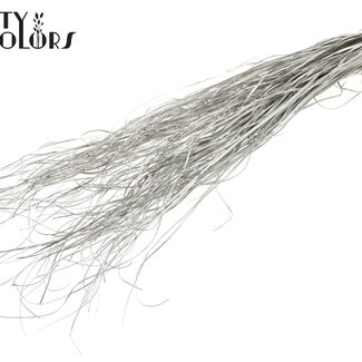 QC Gedroogd Berengras | Kleur: Platinakleurig | Xerophyllum | Lengte ± 60 centimeter | Per 20 bossen