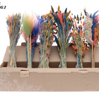 QC Gemengde Gedroogde Bloemen | Kleuren Mix 6 | Kleur: Gemengde Kleuren | Droogbloemen Mix | Lengte ± 60 centimeter | Per 6 bossen
