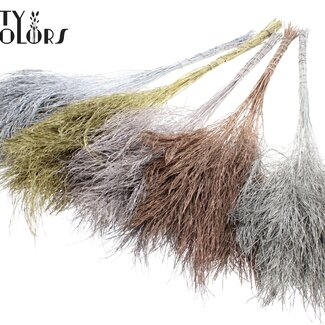 QC Gedroogde Boomvaren | Kleur: Gemengde Metallic Kleuren | Polypodiophyta | Lengte ± 60 centimeter | Per 20 bossen