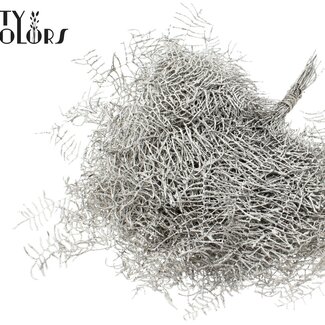 QC Preserved Coral Fern | Colour: Platinum with glitter | Gleichenia Dicarpa | 10 stems per bunch | Per 30 bunches