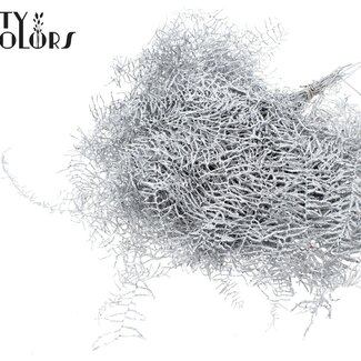 QC Preserved Coral Fern | Colour: Silver with glitter | Gleichenia Dicarpa | 10 stems per bunch | Per 30 bunches