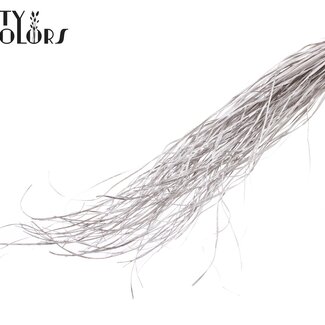 QC Dried Bear Grass | Colour: Champagne | Xerophyllum | Length ± 60 centimetres | Per 20 bunches