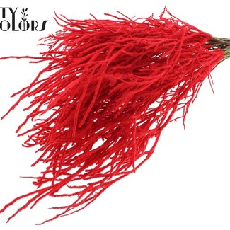 QC Dried Huckleberry with Flock | Colour: Red | Vaccinium Dried Flower Branches | Per 5 bunches