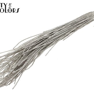 QC Gedroogde Podisiri Açaí | Kleur: Platinakleurig | Podosiri Euterpe Oleracea Takken | Lengte 60 - 70 centimeter | Per 8 takken