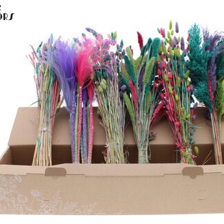 QC Fleurs Séchées Mixtes | Mélange de Couleurs 7 | Couleur : Couleurs Mixtes | Mélange de Fleurs Séchées | Longueur ± 60 centimètres | Par 6 bouquets