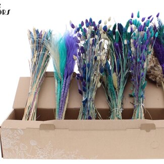 QC Mixed Dried Flowers | Scandinavian Colours | Colour: Mixed Colours | Dried Flowers Mix | Length ± 60 centimetres | Per 6 bunches