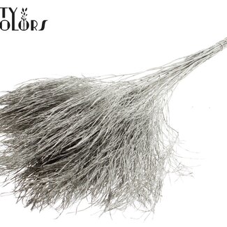 QC Dried Tree Fern | Colour: Platinum | Polypodiophyta | Length ± 60 centimetres | Per 20 bunches