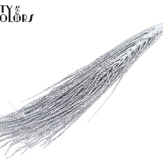 QC Gedroogde Podisiri Açaí | Kleur: Zilverkleurig met glitter | Podosiri Euterpe Oleracea Takken | Lengte 60 - 70 centimeter | Per 8 takken