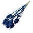 Dark Blue Cardistella Thistles Dried Flowers | Length ± 60 centimetres | Per 10 stems