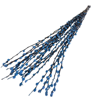 Dutch Dried Chatons de saule Salix bleu clair fleurs séchées | Longueur ± 70 centimètres | Par 20 branches