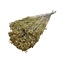 Naturelle Broom Bloom droogbloemen | Lengte ± 55 centimeter | Gewicht 100 gram