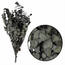 Naturel groene Eucalyptus Espiral | Gepreserveerd | Lengte ± 50 centimeter | Gewicht ± 150 gram
